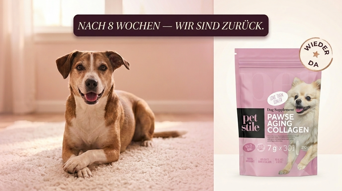 Pawse Aging Collagen — back in stock